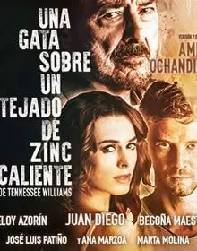 PTC - Una gata sobre un tejado de zinc caliente