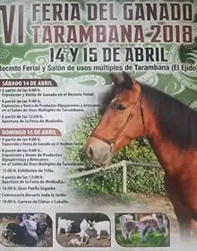 VI Feria del Ganado Tarambana 2018