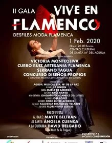II Gala Vive en Flamenco