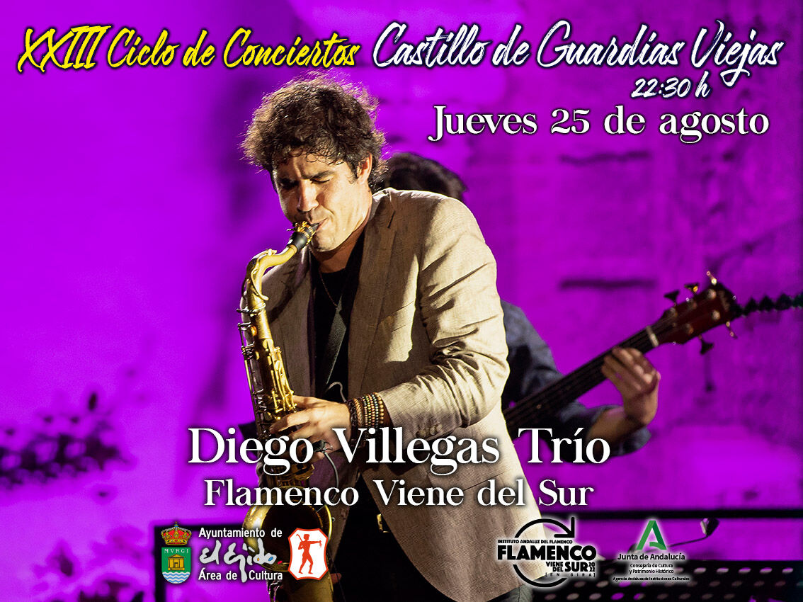 XXIII Ciclo de Conciertos Castillo de Guardias Viejas - Diego Villegas Trio Cinco