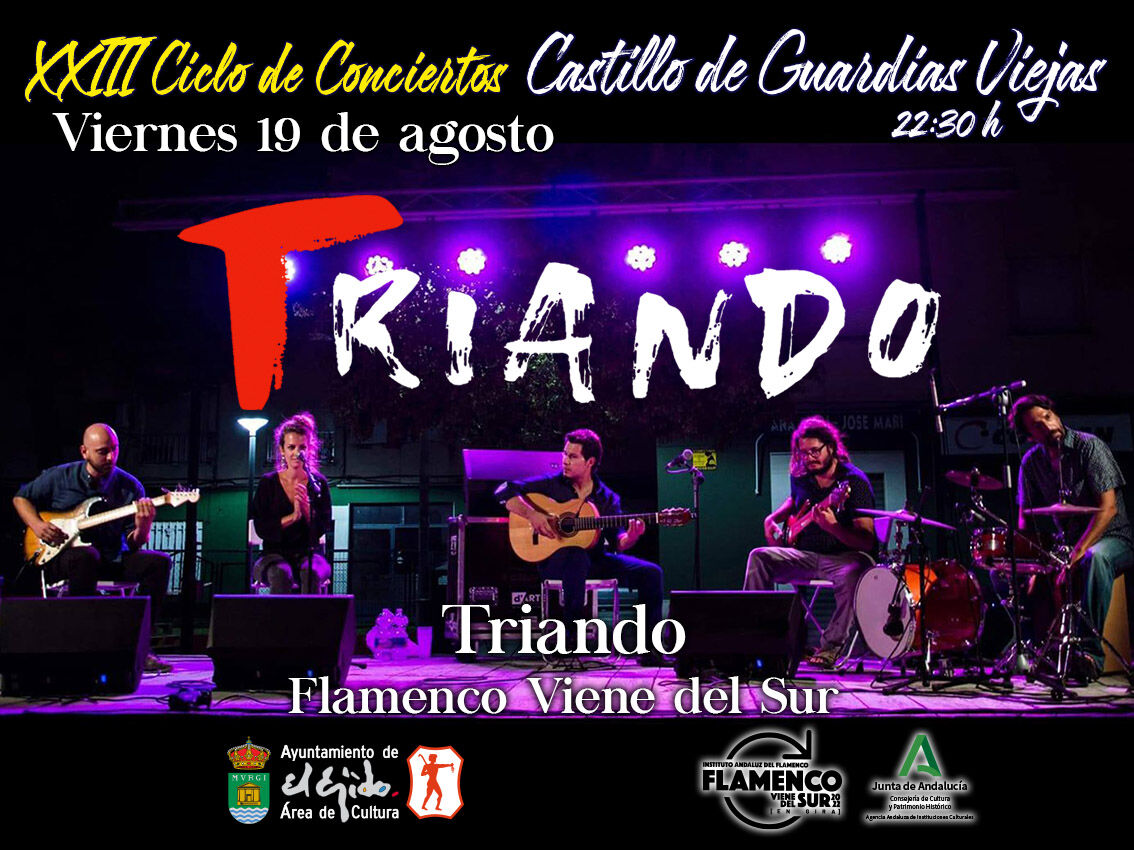 XXIII Ciclo de Conciertos Castillo de Guardias Viejas - Triando Flamenco-fusión