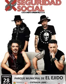 Seguridad Social en concierto