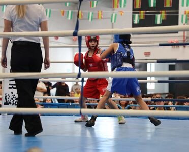 El Ejido acoge el III Open de Andalucía de boxeo en edad escolar